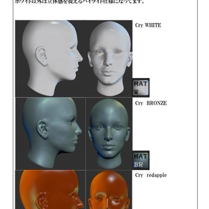 Zbrush Rtool_1 スカルプト支援ツールpack