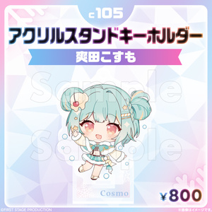 すぺしゃりて　智念せいら　アクスタ　缶バッジ　チェキ　セット　コミケ　C105 hololive - 5点セット 星街すいせい バレンタイン アクスタ 缶