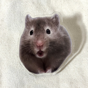 見守りクリップ おどろき