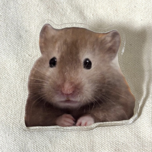 見守りクリップ おすまし