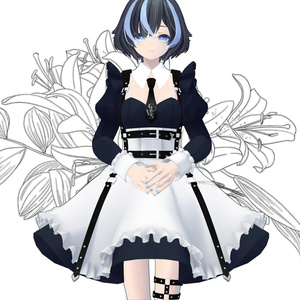 新品未使用 Debut デビュー メイド服 ロングメイド服Debut(デビュー