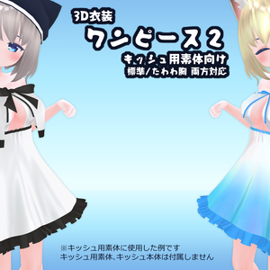 3D衣装「ワンピース２」キッシュ用素体標準/たわわ胸向け