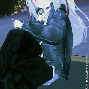 Denim Hoodie【25アバターセミ対応】 缩略图 41