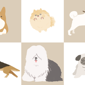 犬素材【全6種】