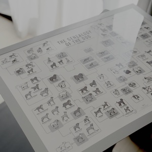 人生の実績解除パズル JAPAN PUZZLE MAP [マットグレー] マップ フォト