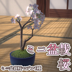 ミニ盆栽（桜）