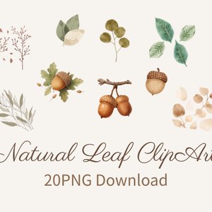 Natural Leaf & Acorn Clipart Set（ナチュラルリーフ＆どんぐり素材集）20PNG