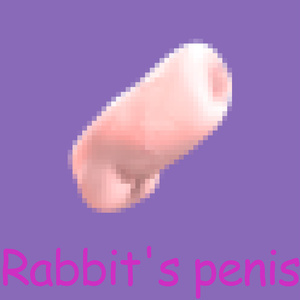 Rabbit's penis