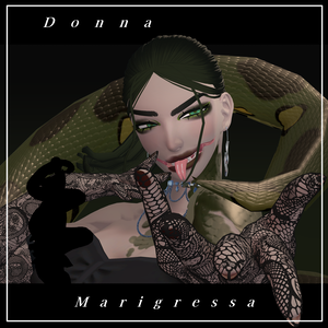 【VRC想定３Dモデル】Donna Marigressa