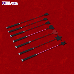 [無料あり]短鞭あるいは乗馬鞭セット.FBX