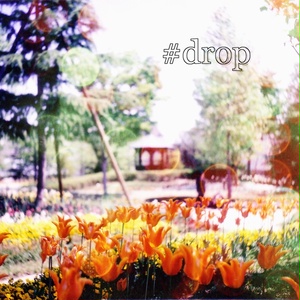 #drop（無料版）