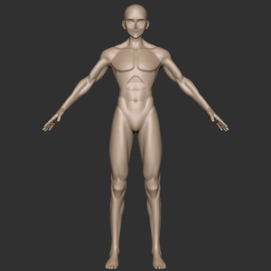 Base Body Male 01