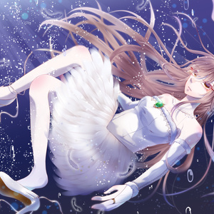 【弥雲】白鳥