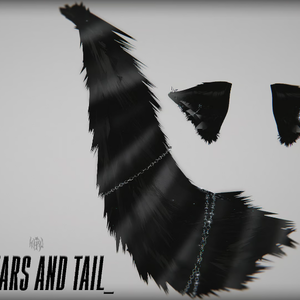 ☆ "cat ears and tail"