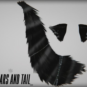 ☆ "cat ears and tail"