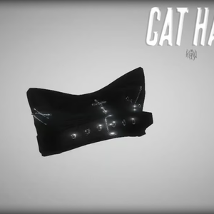 ☆ "cat hat"