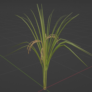 稲のような植物の３Dモデル 缩略图 2