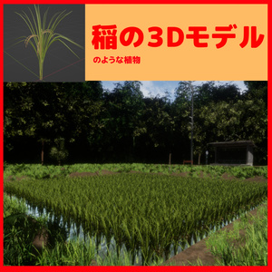 稲のような植物の３Dモデル
