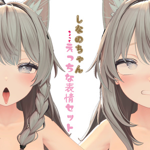しなのちゃん　ちょっとえっちな表情13個セット
