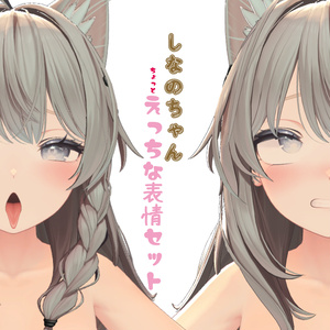 しなのちゃん　ちょっとえっちな表情13個セット