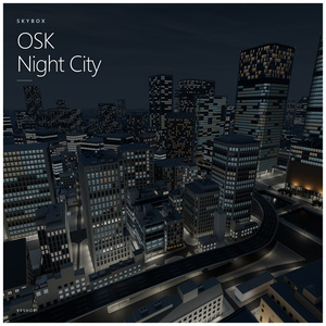 ✨セール中✨ OSK Skybox【夜・昼（晴天）・昼（曇天）】 缩略图 9