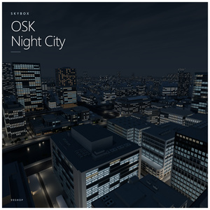 ✨セール中✨ OSK Skybox【夜・昼（晴天）・昼（曇天）】 缩略图 4