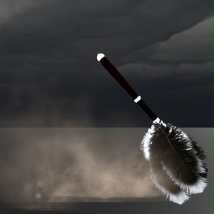 Feather duster