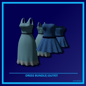 Dress Outfit Bundle