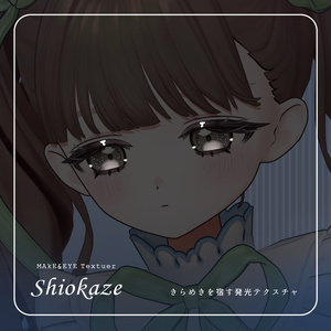 【フィユエ - Fyuett 専用】透け感メイク[ 潮風 ] MakeUp & EYE texture 缩略图 3
