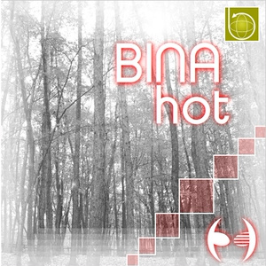 BINA -hot-