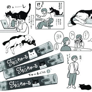 ねことエクイップメント
