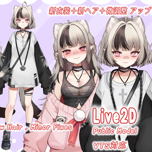 LIVE2D PUBLIC MODEL [VTS対応] - Ferret