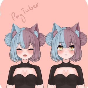 Cute-catgirl【PNGTuber】vtuber , stream avatar