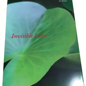 Invisible Love