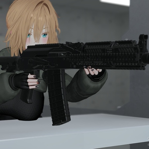 AK-556 缩略图 15