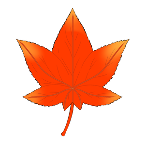 紅葉 フリー素材