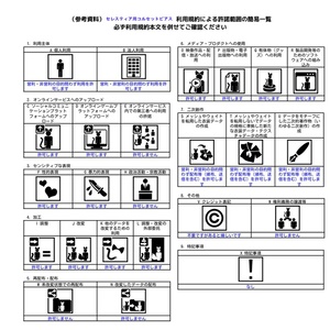 セレスティア用コルセットピアス 缩略图 8