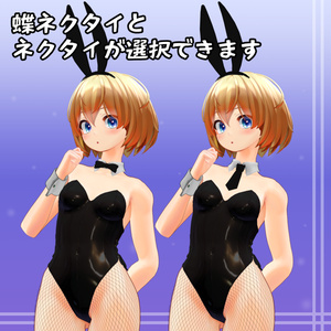 リズ・シグマ - Lizz Sigma - 専用衣装「バニースーツ」