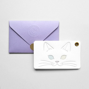 パチカ猫の2枚組メッセージカード