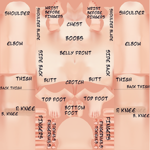 *FREE* Labelled Female Body VROID texture
