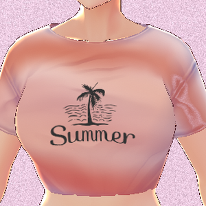 Summer Mini T Bundle WITH tan body VROID textures