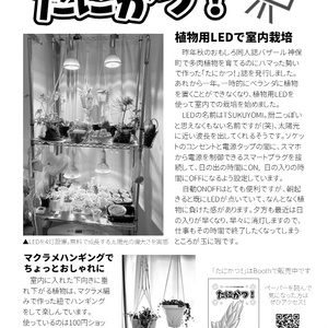 2022/11/6おもバザ13記念誌(フリーペーパー)