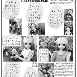 2023/11/3おもバザ15記念誌(フリーペーパー)