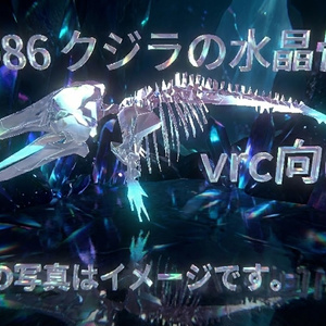 ▼2986  クジラの水晶骨 crysta_bone whale