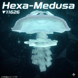 ▼11626 幾何海月　Hexa-Medusa