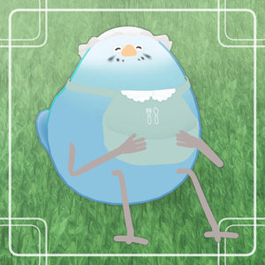 お食事スタイセット【Bird/鳥対応】