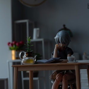 lightroom　メガミ用プリセット