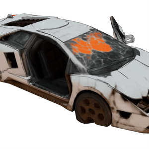 wasted sports car