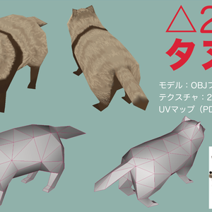 △256タヌキ