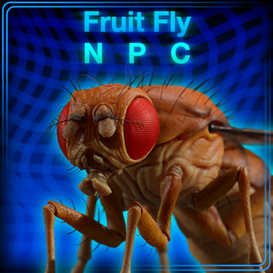 [VRC] Fruit Fly NPC  ショウジョウバエのNPC
